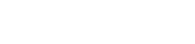 A0